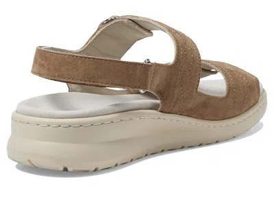 David Tate Key In Brown