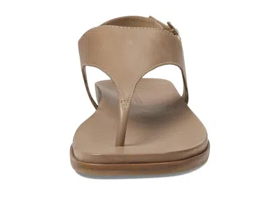 Bernardo Concord In Sand