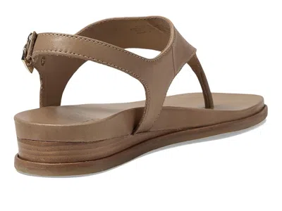 Bernardo Concord In Sand