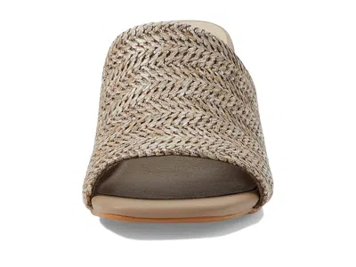 Seychelles Adapt In Brown