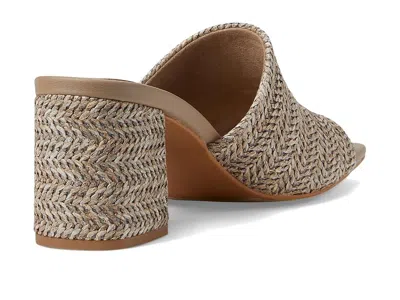 Seychelles Adapt In Brown