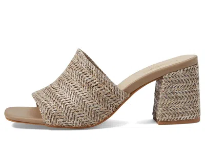 Seychelles Adapt In Brown