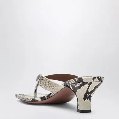 Paris Texas Python-print Thong Slides In Multi