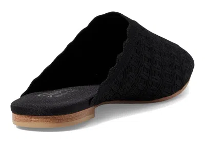 Skechers Cleo - Snip In Multi