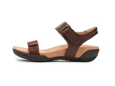 Jambu Morgan In Brown