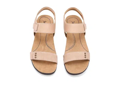 Jambu Morgan In Brown