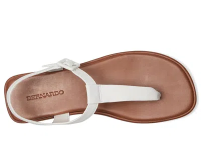 Bernardo Tucson In White