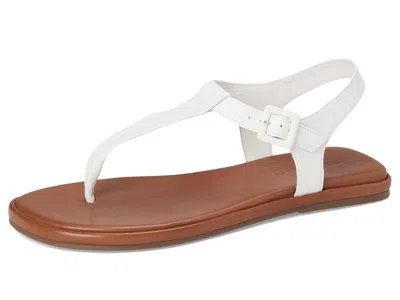 Bernardo Tucson In White