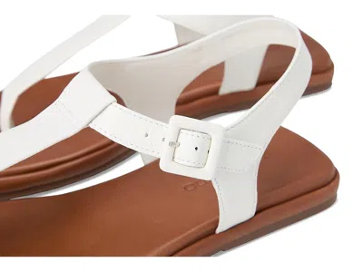 Bernardo Tucson In White