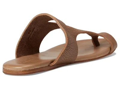 Bed Stu Civilized In Brown