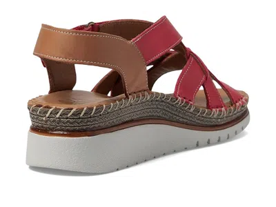 Spring Step Migula In Burgundy