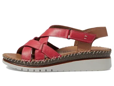 Spring Step Migula In Burgundy