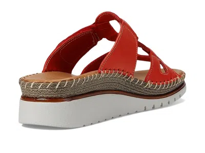 Spring Step Montera Wedge Sandal In Animal Print