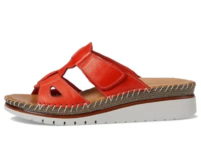 Spring Step Montera Wedge Sandal In Animal Print