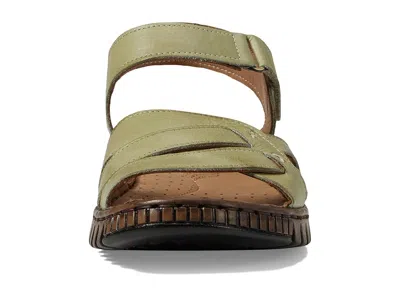 Spring Step Nochella In Green