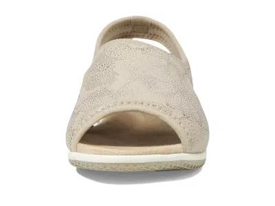 David Tate Freestep In Brown