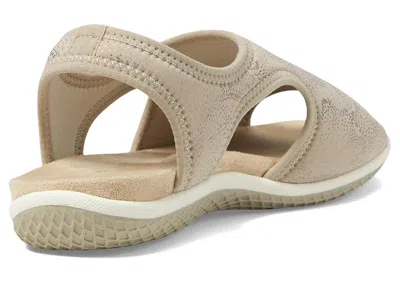 David Tate Freestep In Brown