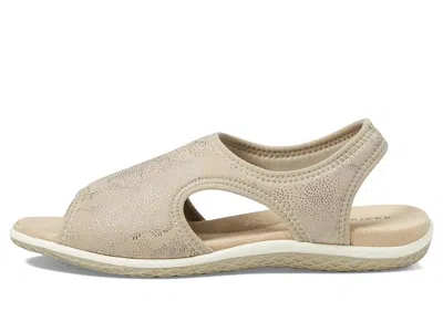 David Tate Freestep In Brown