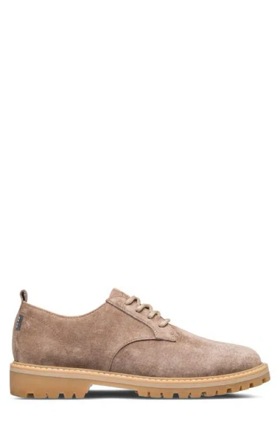 Clae Logan Lugged Plain Toe Derby In Brown