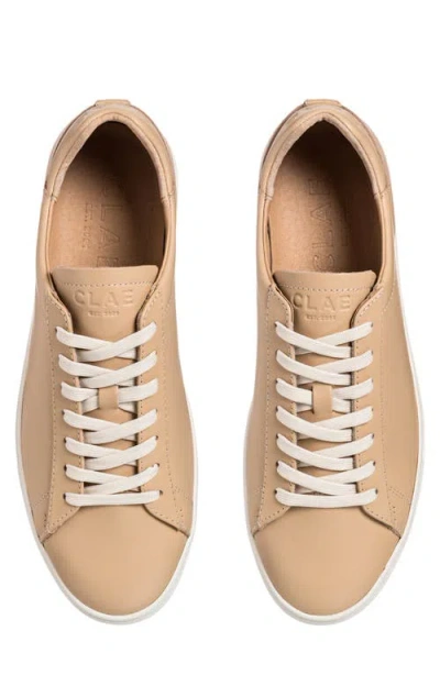 Clae Bradley Sneaker