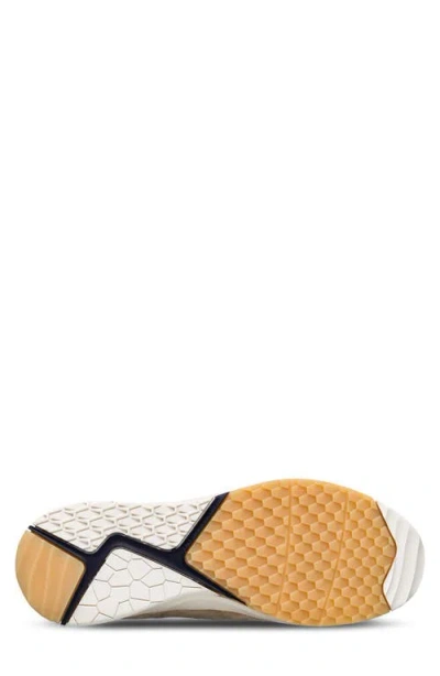 Clae Zuma Sneaker In Brown