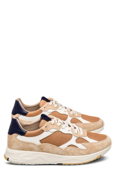 Clae Zuma Sneaker In Brown