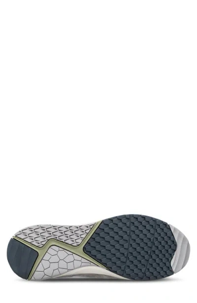 Clae Zuma Sneaker In Multi