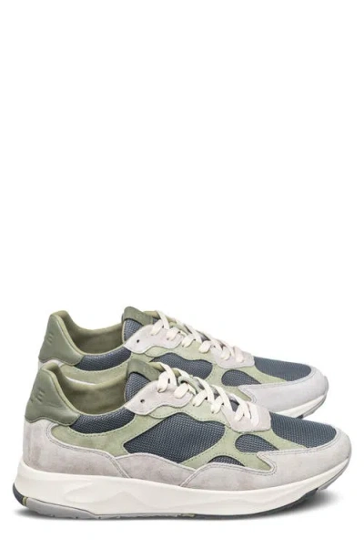 Clae Zuma Sneaker In Multi