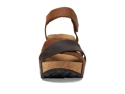 Eric Michael Olympia In Brown