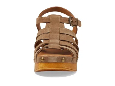 Eric Michael Desi In Brown