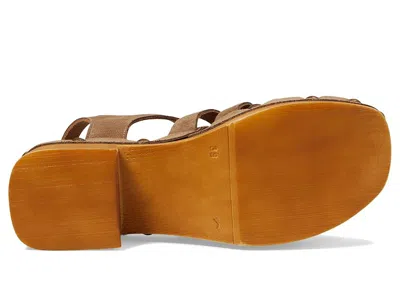 Eric Michael Desi In Brown