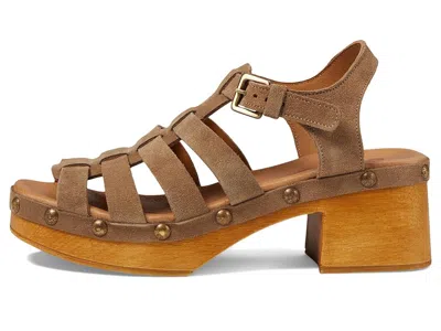 Eric Michael Desi In Brown