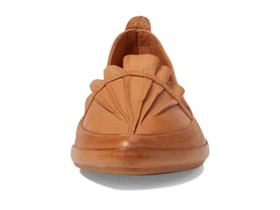 Spring Step Established In Brown