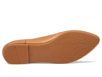 Spring Step Established In Brown