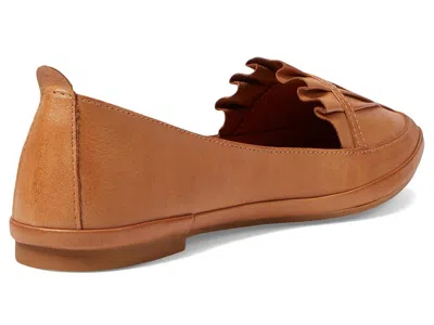 Spring Step Established In Brown