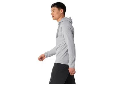 Arc'teryx Delta Pullover Hoody In Gray