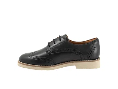 Softwalk Willet Wingtip Derby In Black