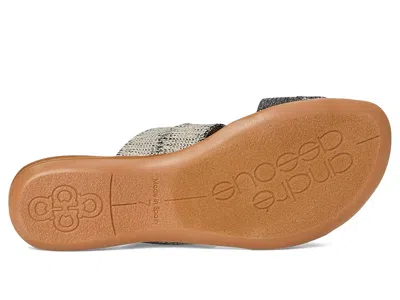 Andre Assous Noor In Multi