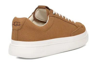Ugg South Bay Sneaker Low Suede In Multi