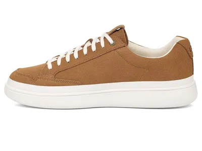 Ugg South Bay Sneaker Low Suede In Multi