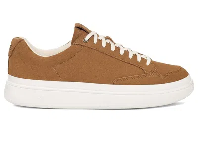 Ugg South Bay Sneaker Low Suede In Multi