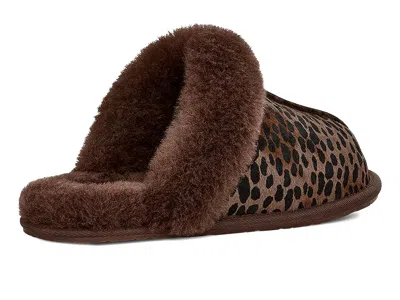 Ugg Scuffette Caspian In Brown