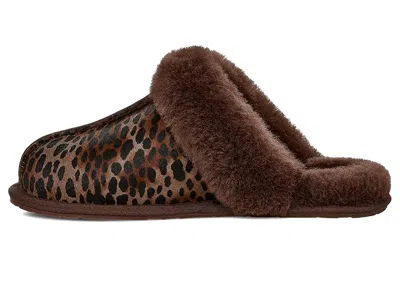 Ugg Scuffette Caspian In Brown