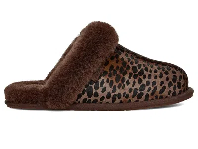 Ugg Scuffette Caspian In Brown