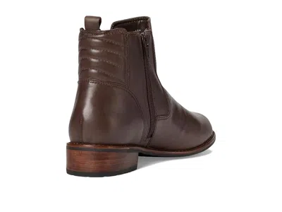 David Tate Luxe In Brown