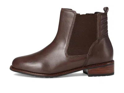 David Tate Luxe In Brown