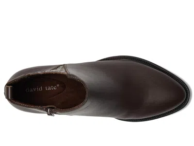 David Tate Focus In Brown