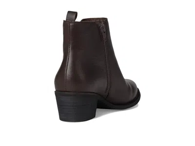 David Tate Focus In Brown