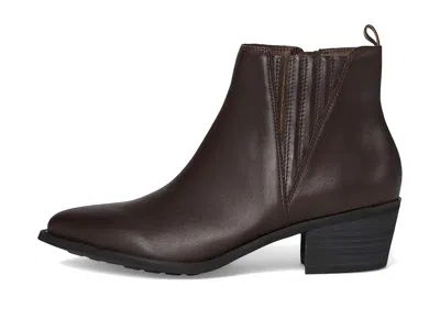 David Tate Focus In Brown