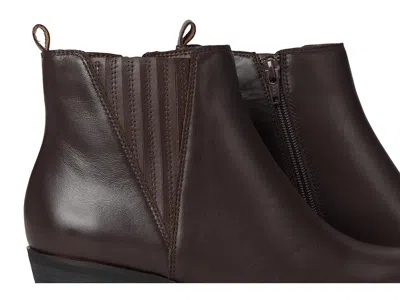 David Tate Focus In Brown